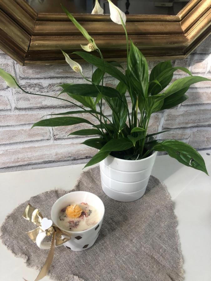 BesozzoCasa Nonna Elide公寓 外观 照片